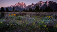 Teton Meadow Sunrise 16x9
