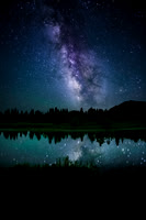 Tranquil Beauty