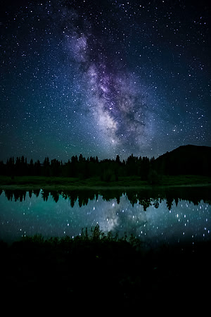Tranquil Beauty